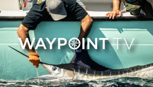 Waypoint TV