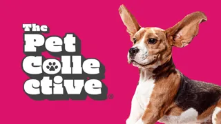 The Pet Collective