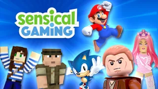 Sensical Gaming