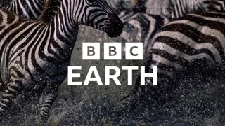 BBC Earth