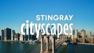 Stingray Cityscapes