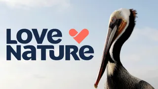 Love Nature