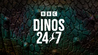 Dinos 24/7