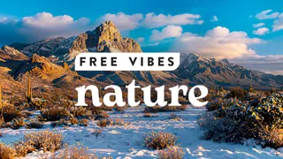 FREE Vibes Nature