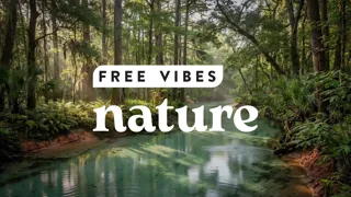FREE Vibes Nature