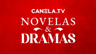Novelas y Dramas