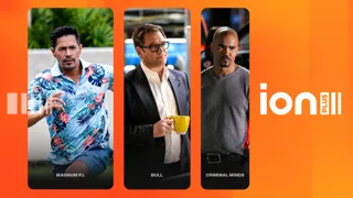 ION Plus