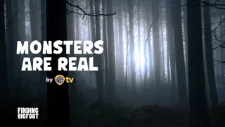 Monsters Are Real