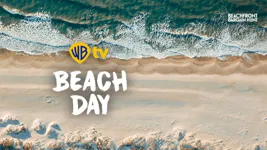 Beach Day