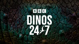 Dinos 24/7