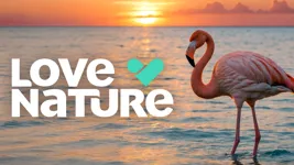Love Nature